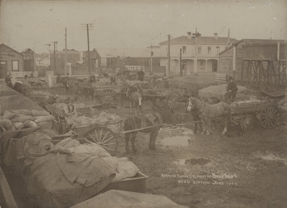 Farmers taking delivery of basic slag, Stratford Station.