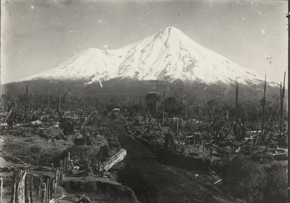 Rural Stratford, York Road 