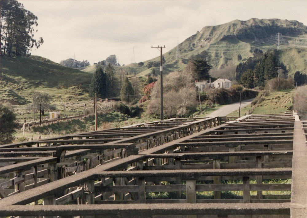 Kohuratahi Saleyards 