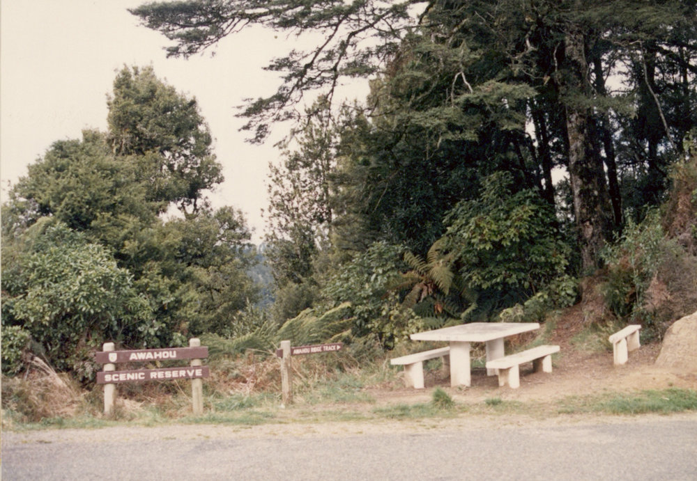 Awahou Scenic Reserve 
