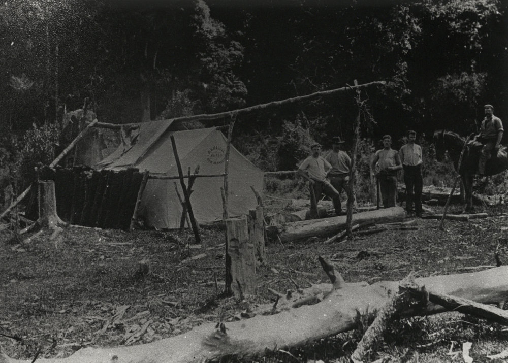Early bush camp
