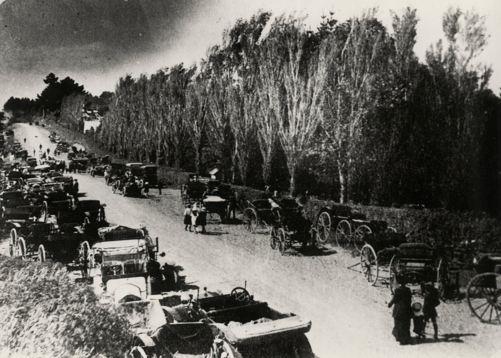 Ngaere Gardens in their heyday, 1920s. 