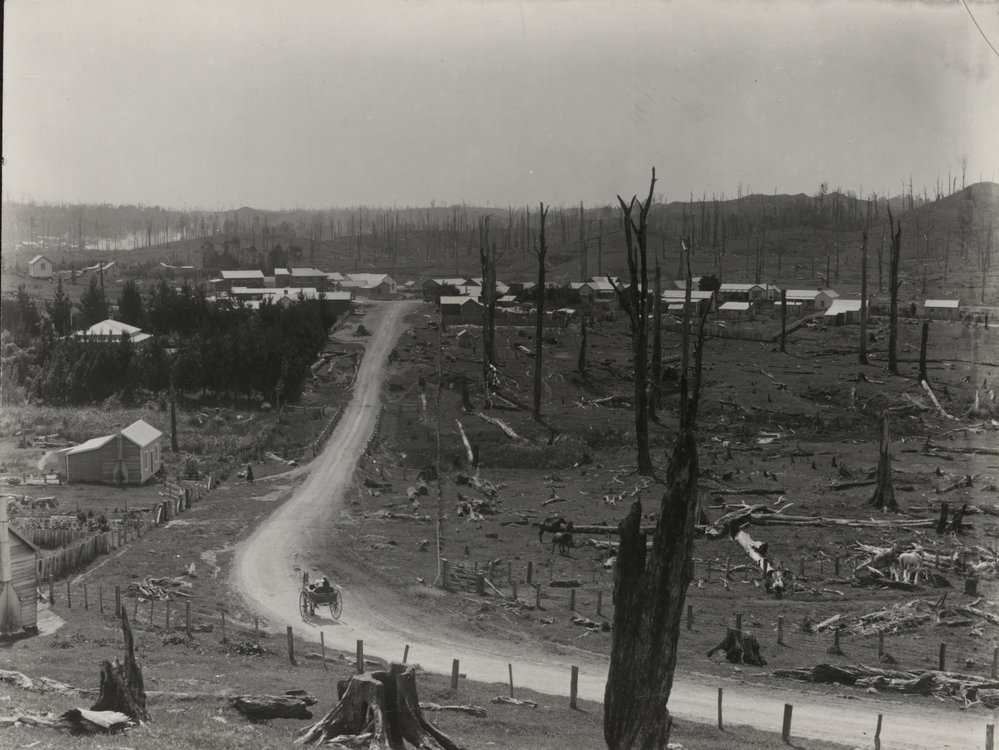 Toko township, from Toko Road, 1905.