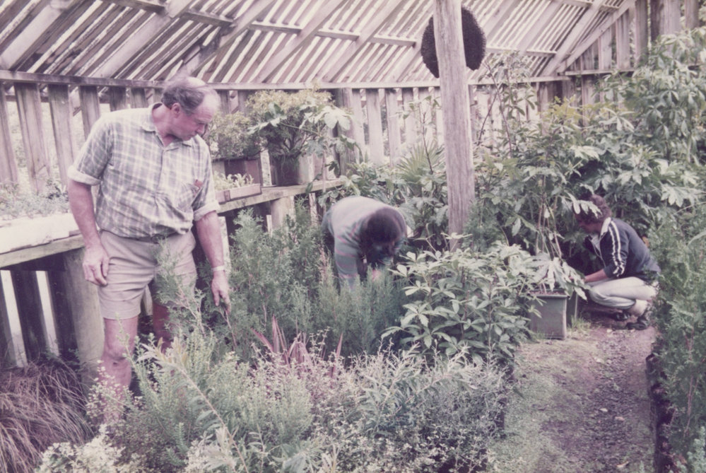 Ron Bray, Celia St gardens 