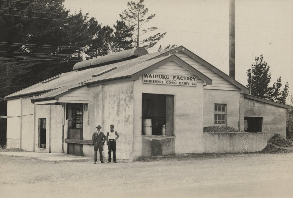 Midhirst Co-operative Dairy Company Ltd &ndash; Waipuku Factory.