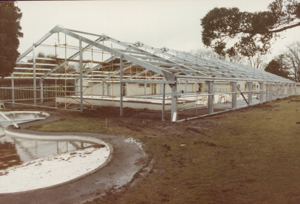 Pool redevelopment 1986