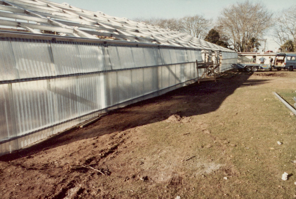 Pool redevelopment 1986
