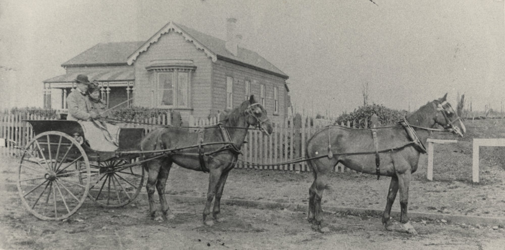 Man and woman in horse-drawn buggy on road.
