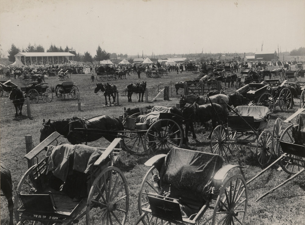 First Stratford A&amp;P Showday. 