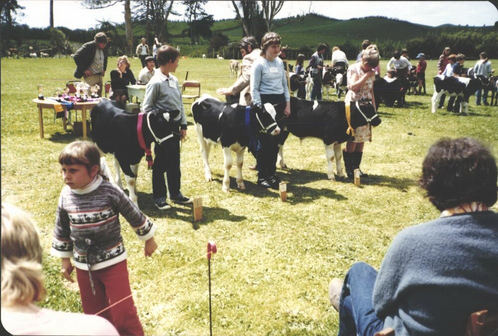 Stanley School - Calf Day - November 1984
