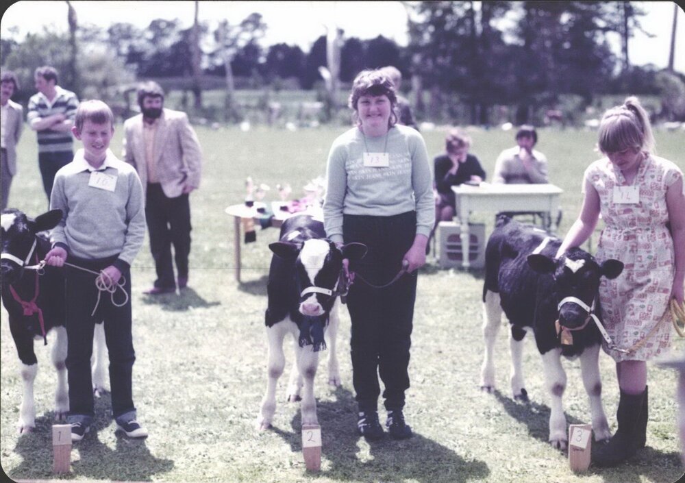 Stanley School - Calf Day - November 1984