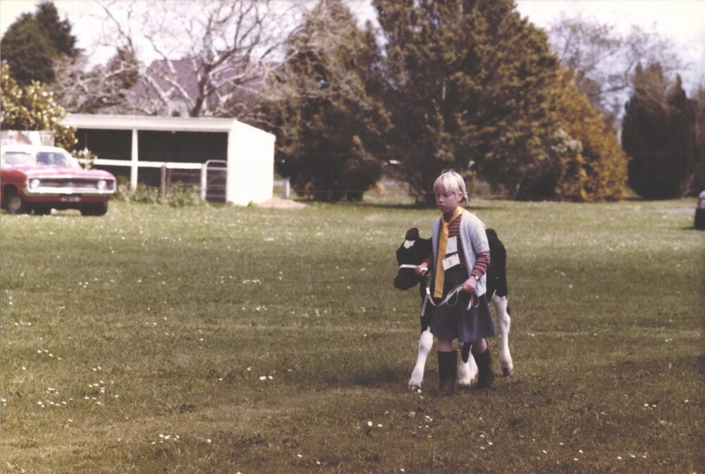 Stanley School - Calf Day - November 1984
