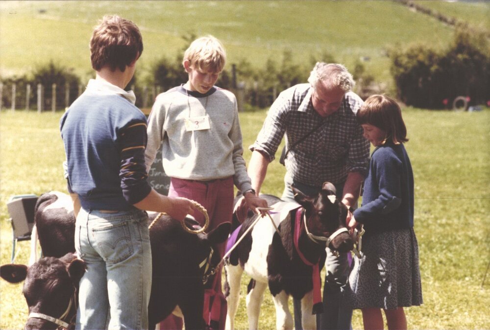 Stanley School - Calf Day - November 1984