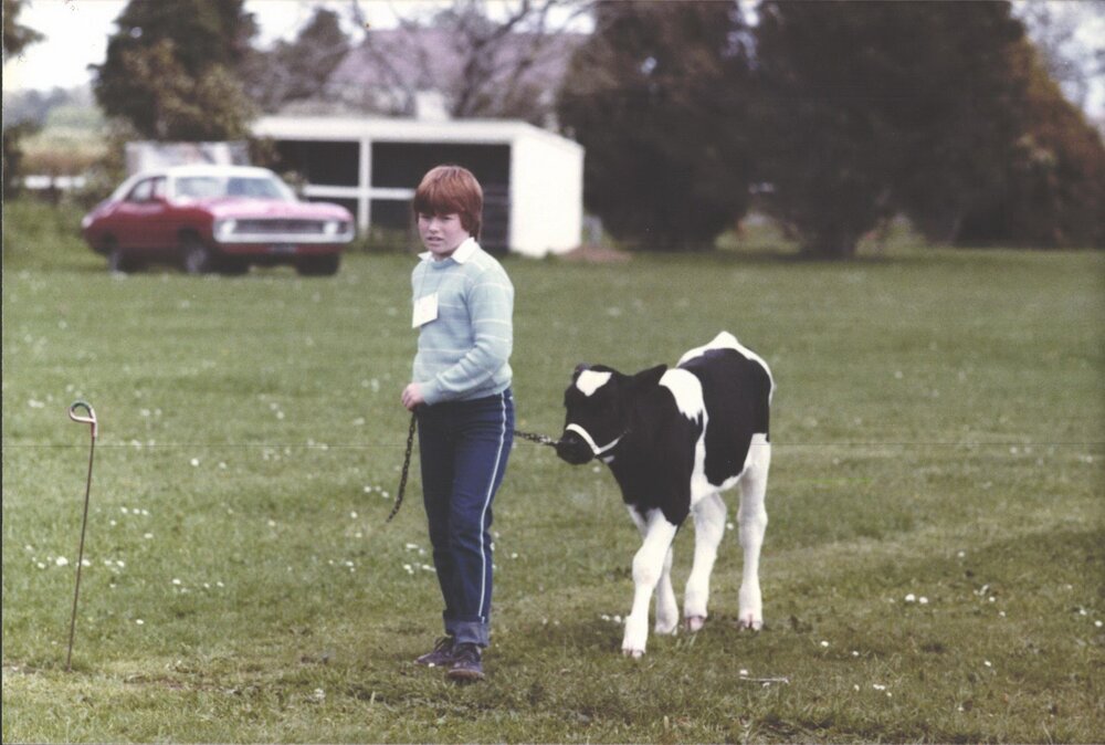 Stanley School - Calf Day - November 1984