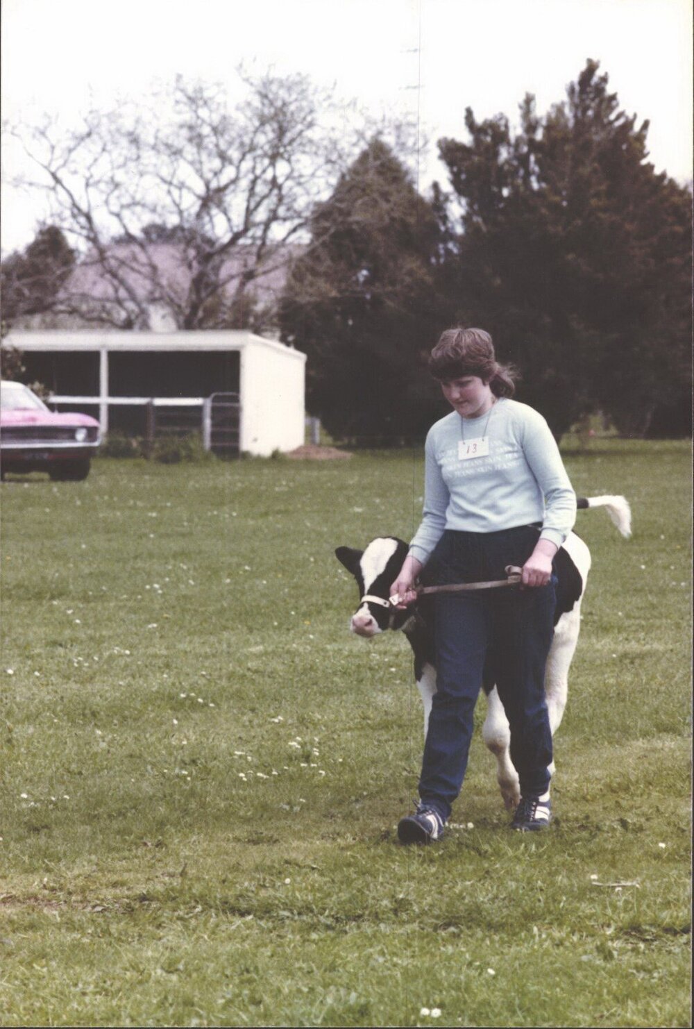 Stanley School - Calf Day - November 1984