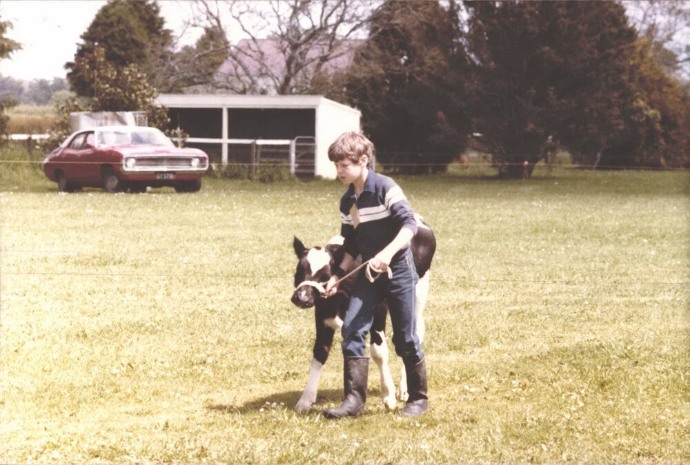 Stanley School - Calf Day - November 1984