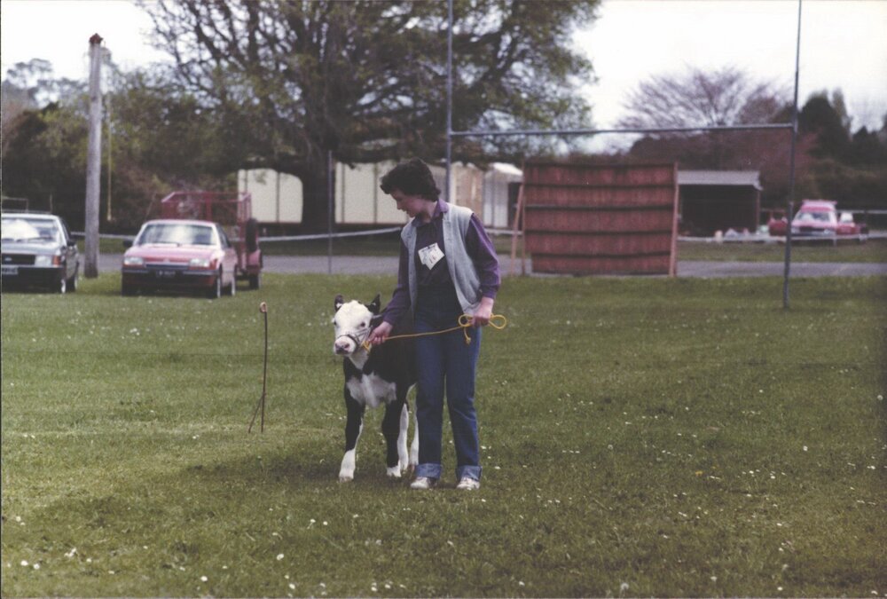 Stanley School - Calf Day - November 1984