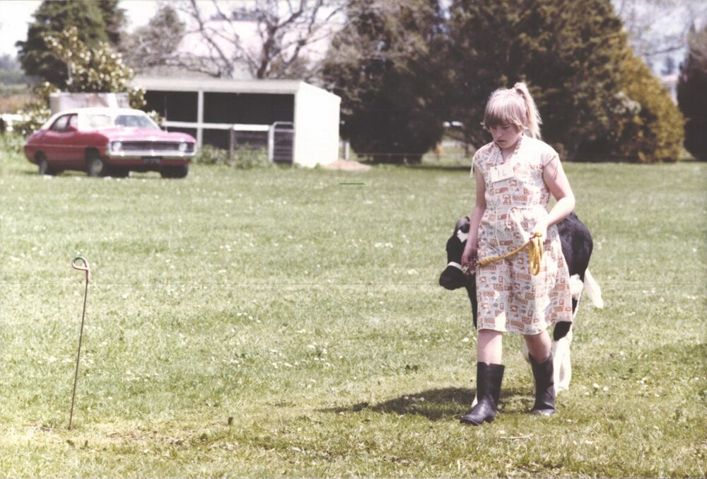 Stanley School - Calf Day - November 1984
