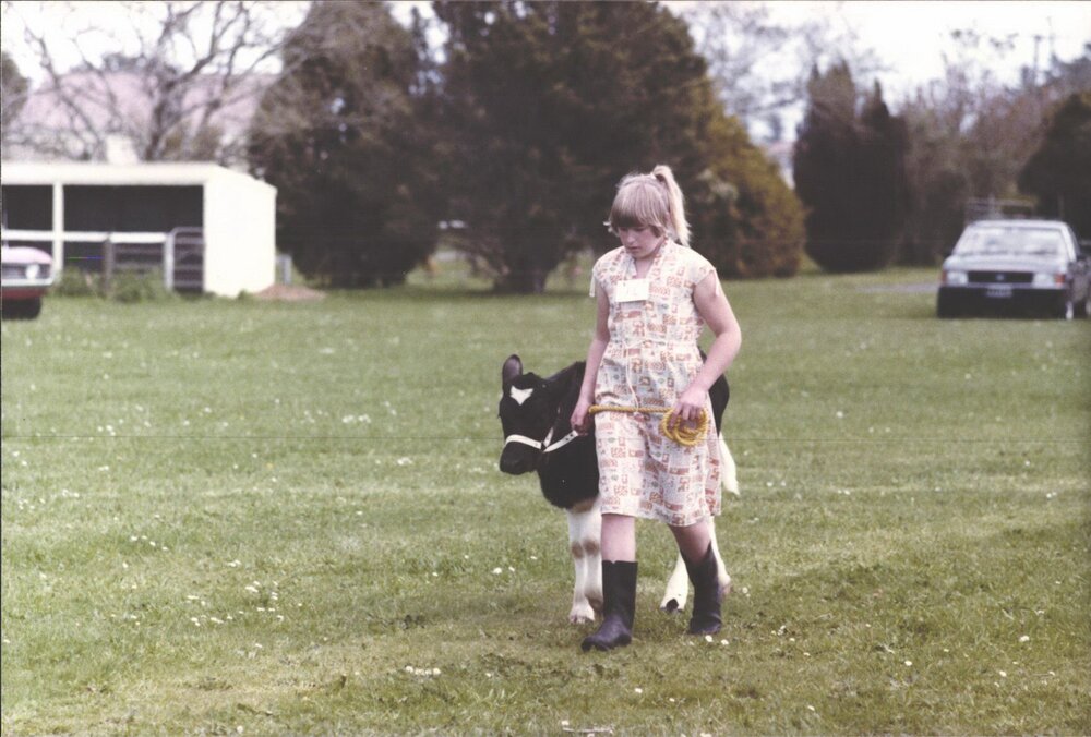 Stanley School - Calf Day - November 1984