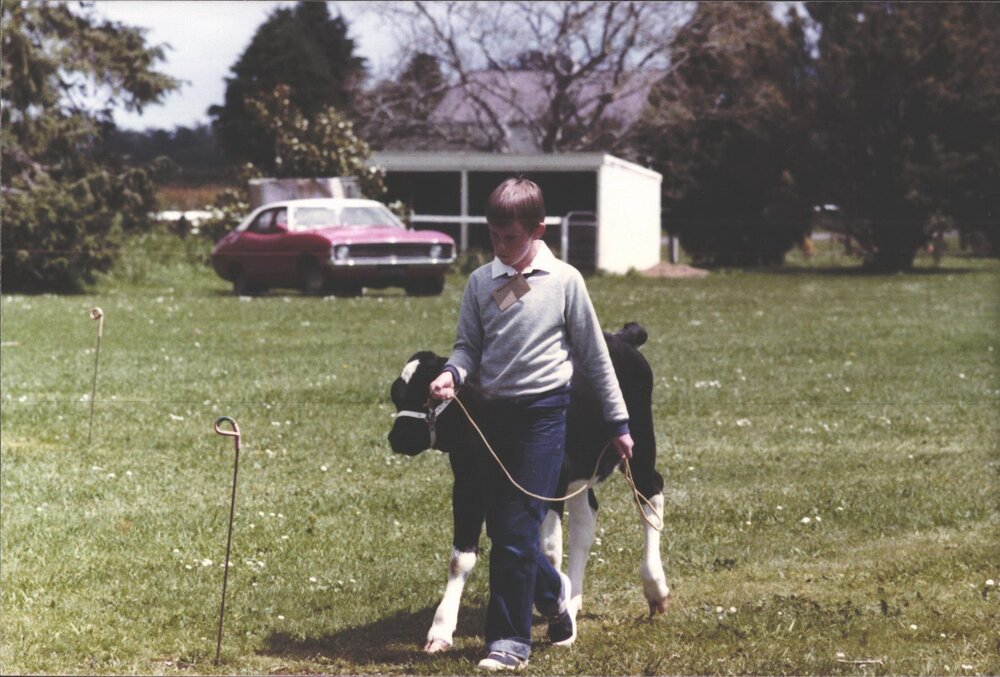 Stanley School - Calf Day - November 1984