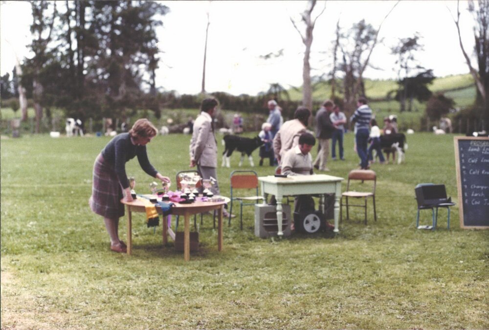 Stanley School - Calf Day - November 1984