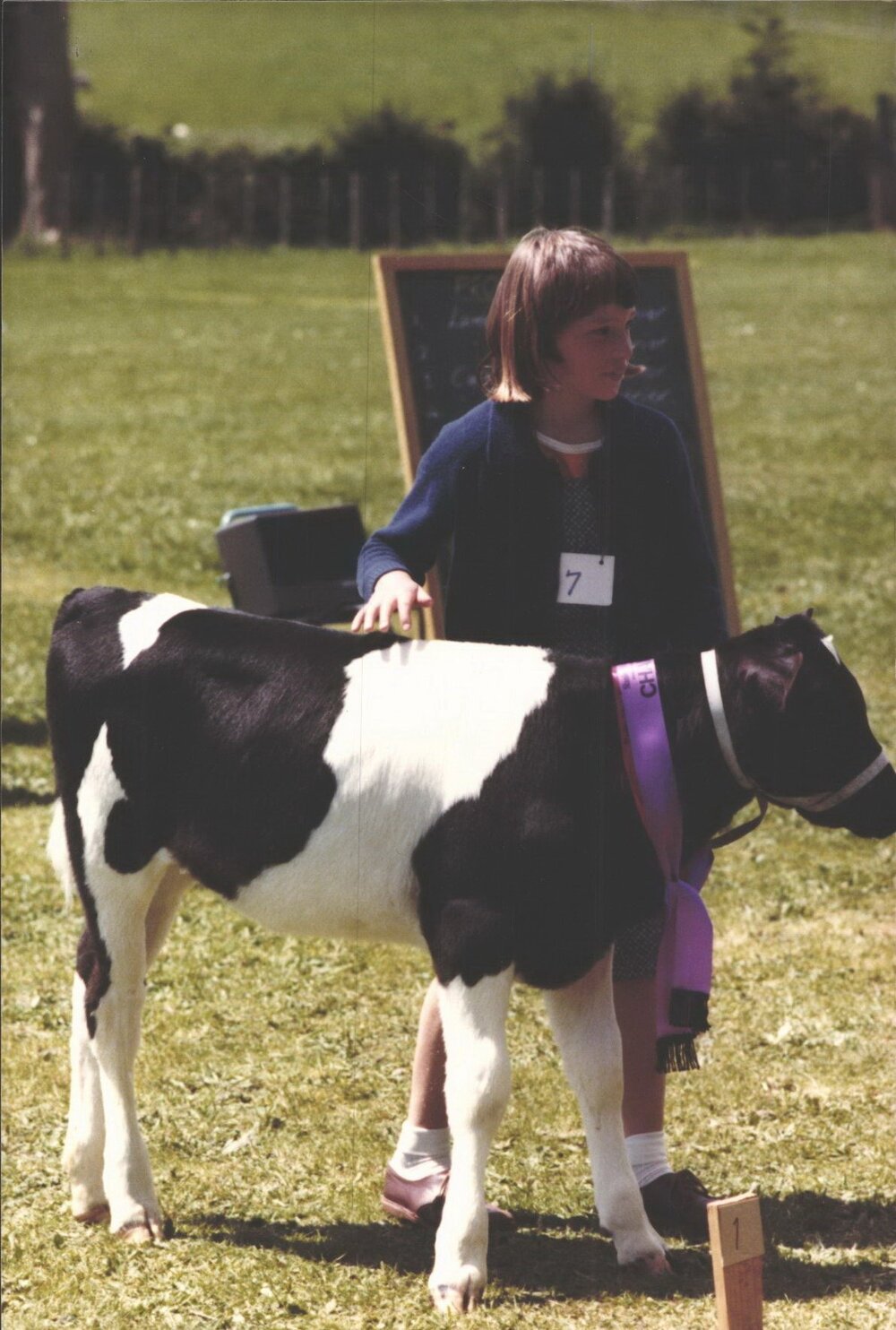 Stanley School - Calf Day - November 1984