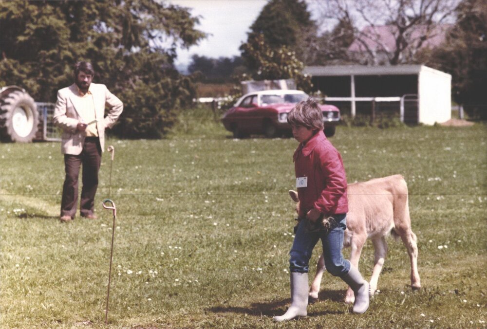 Stanley School - Calf Day - November 1984