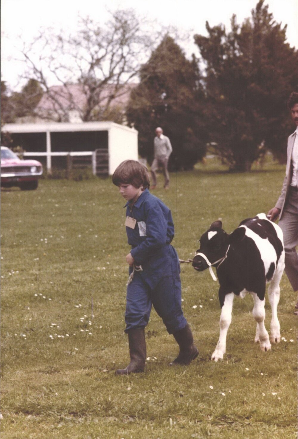 Stanley School - Calf Day - November 1984