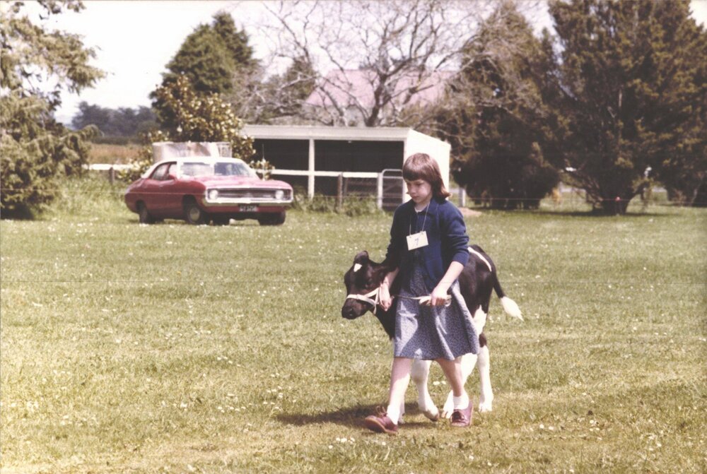 Stanley School - Calf Day - November 1984