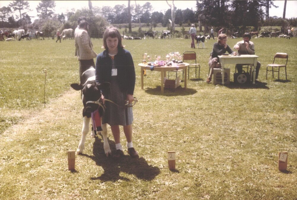 Stanley School - Calf Day - November 1984