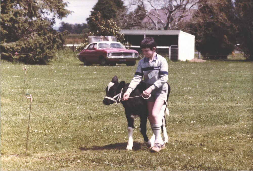 Stanley School - Calf Day - November 1984