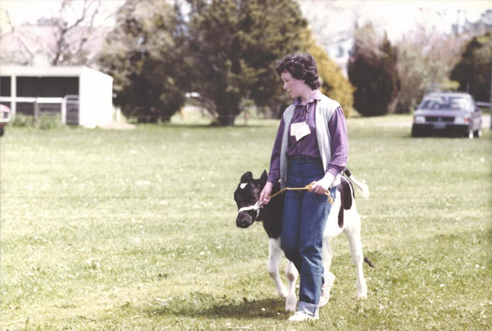 Stanley School - Calf Day - November 1984