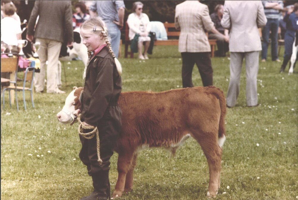 Stanley School - Calf Day - November 1984