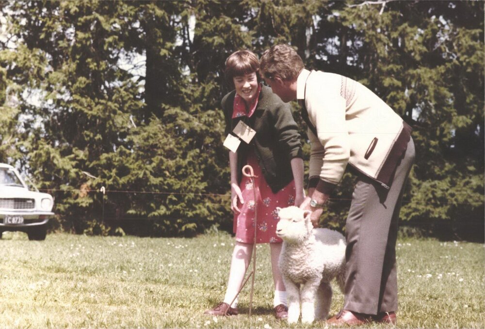 Stanley School - Calf Day - November 1984