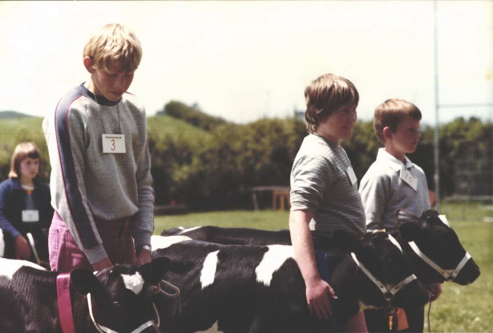Stanley School - Calf Day - November 1984