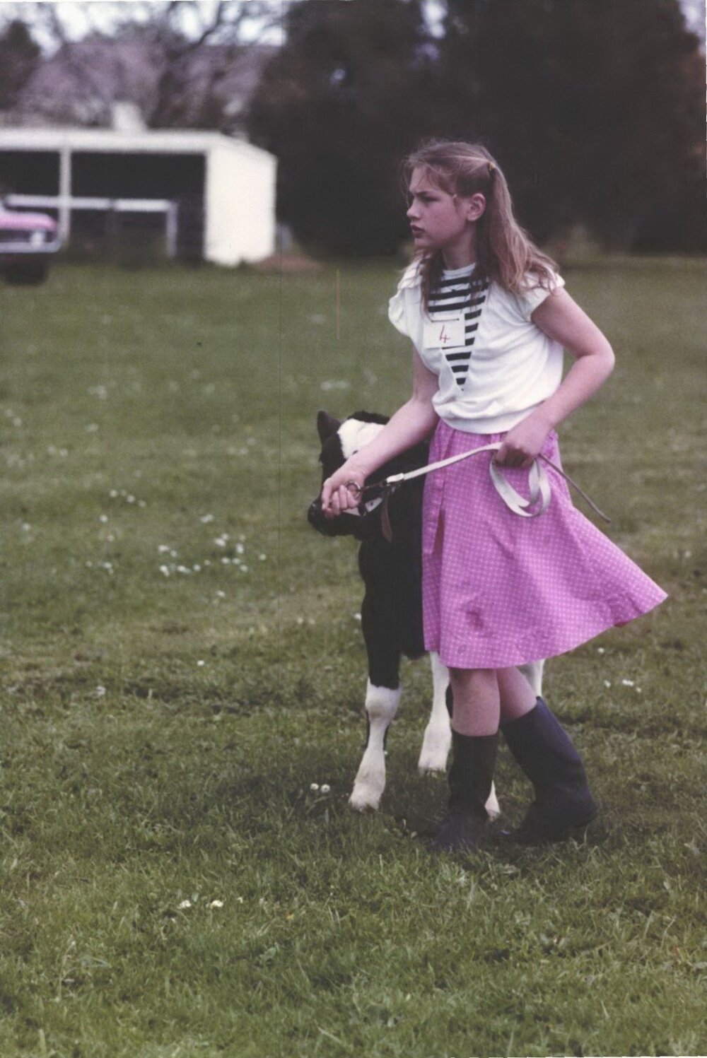 Stanley School - Calf Day - November 1984