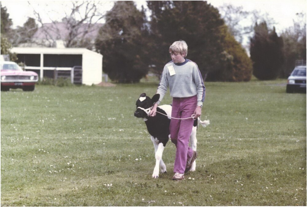 Stanley School - Calf Day - November 1984