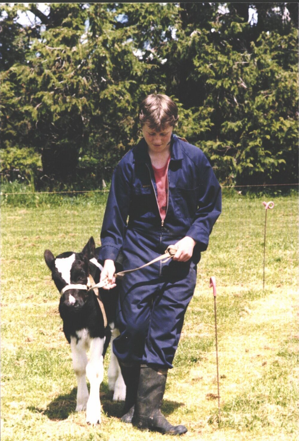 Stanley School - Calf Day - October 1986
