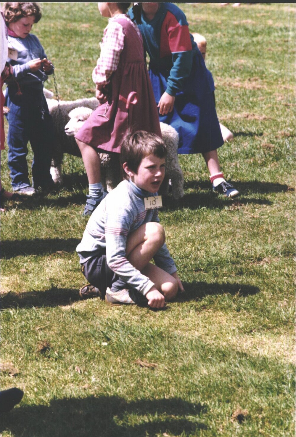Stanley School - Calf Day - October 1986