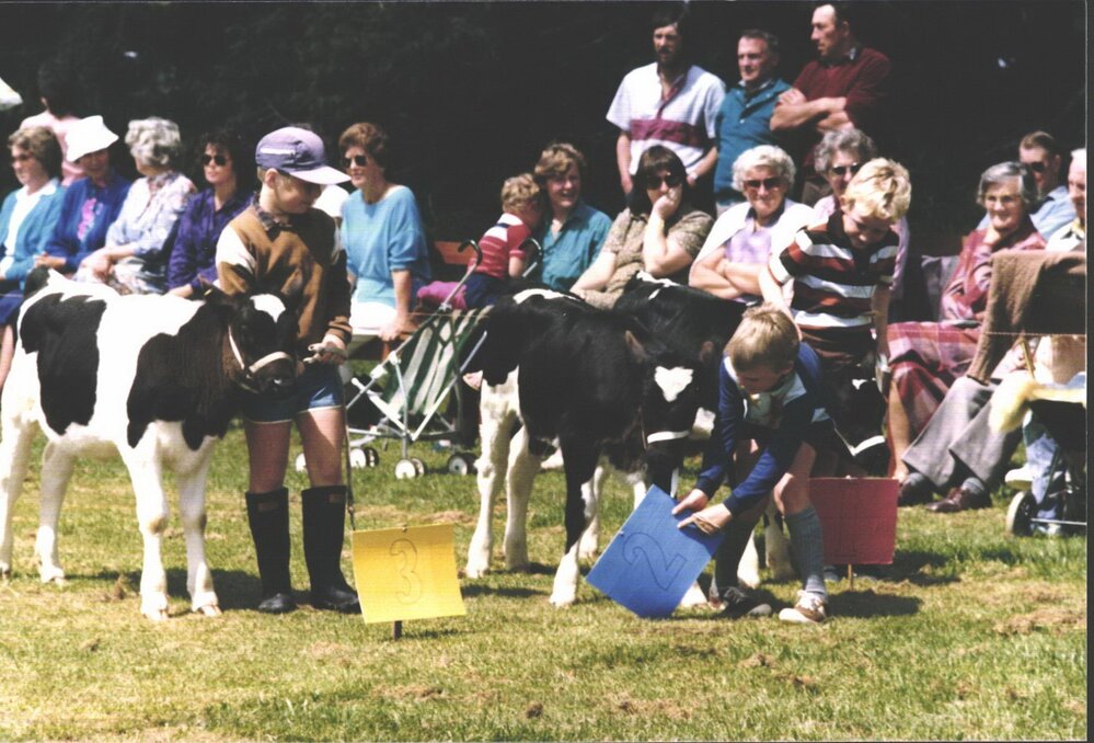 Stanley School - Calf Day - October 1986