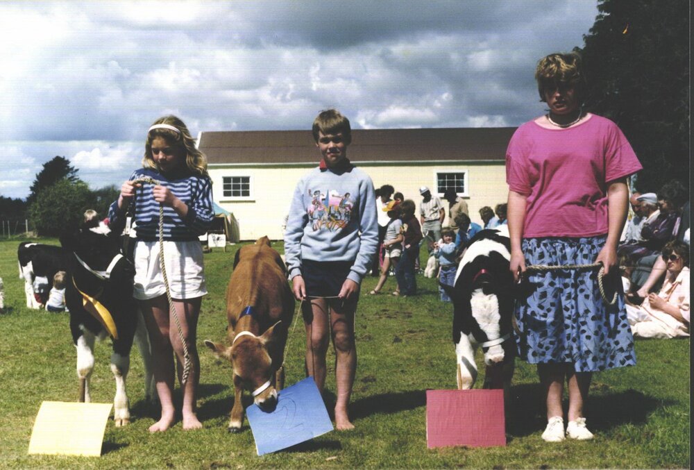 Stanley School - Calf Day - October 1986