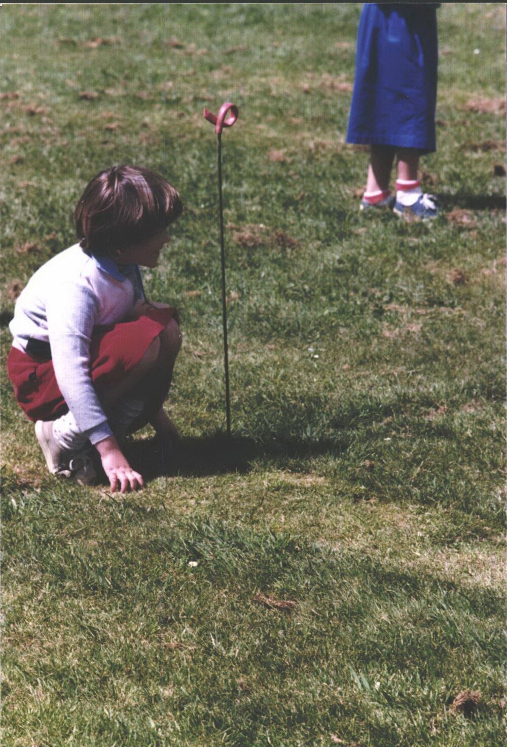 Stanley School - Calf Day - October 1986