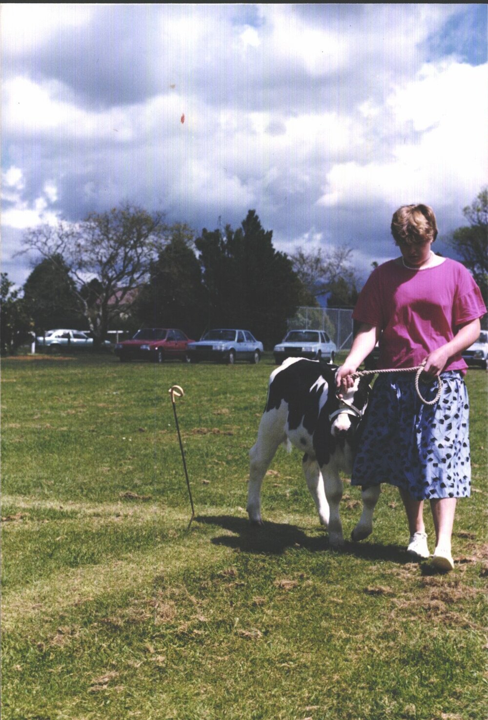 Stanley School - Calf Day - October 1986