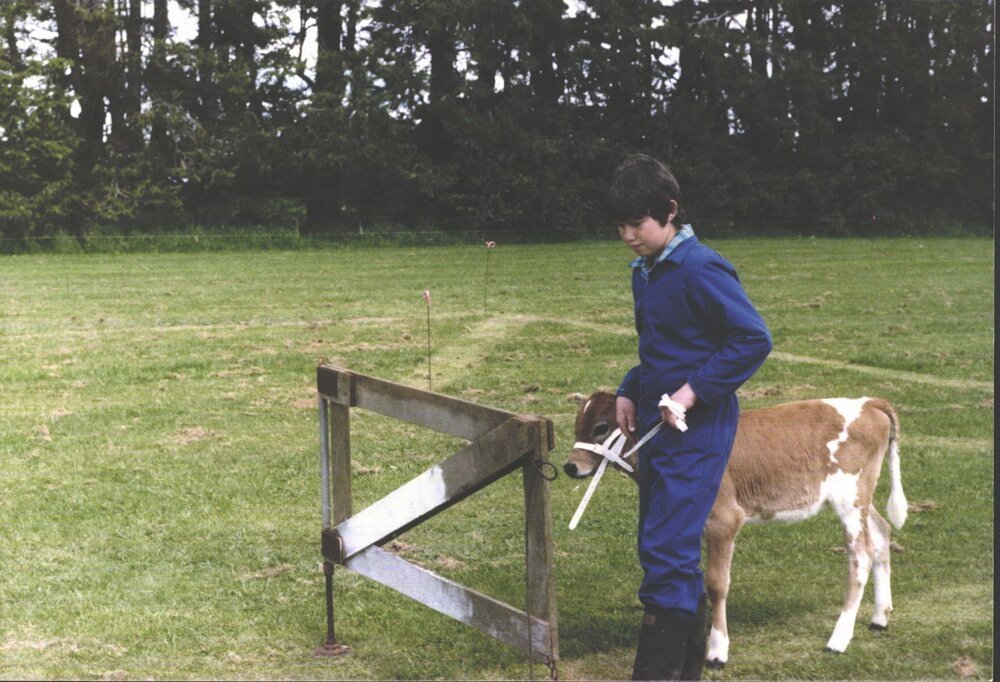 Stanley School - Calf Day - October 1986