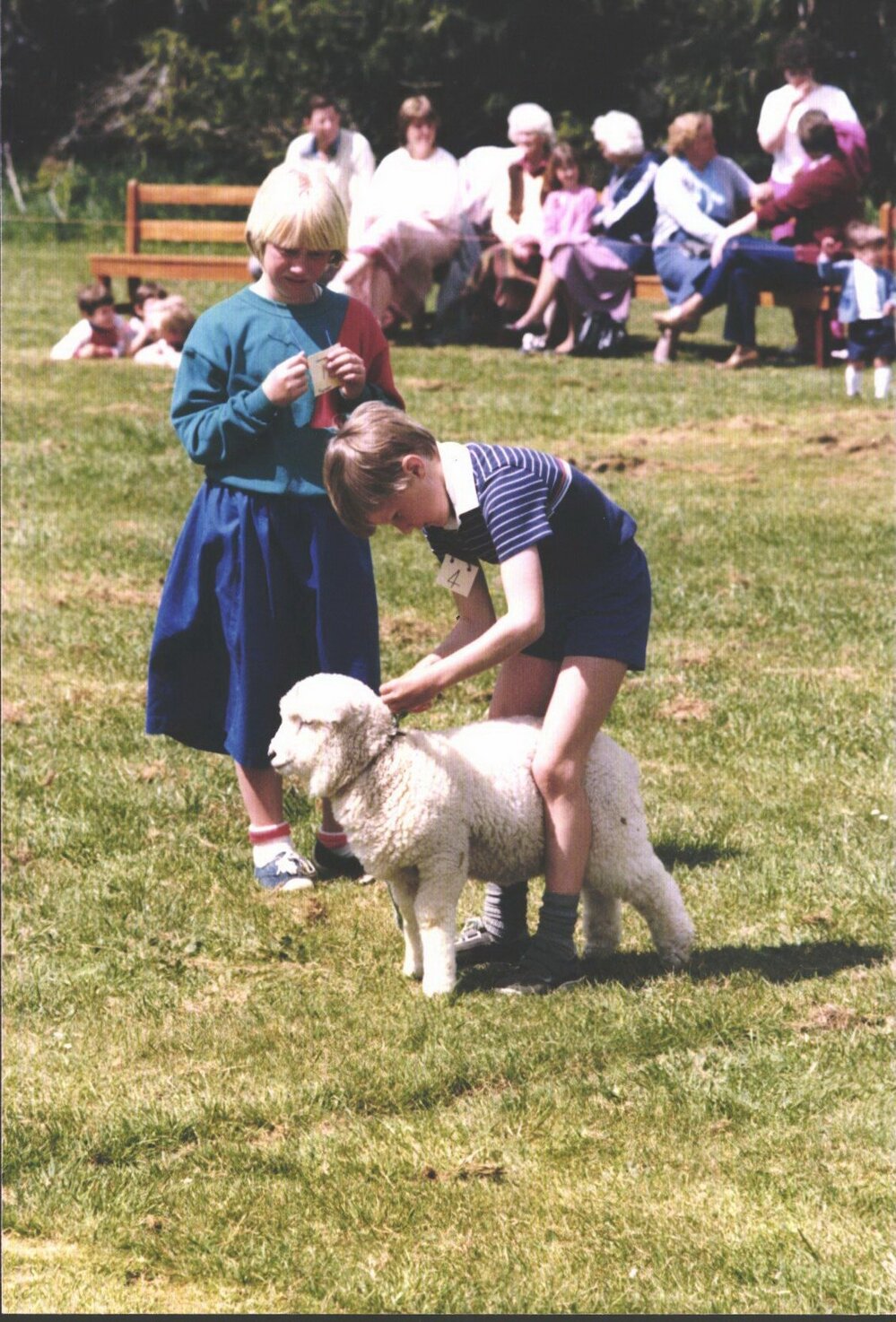 Stanley School - Calf Day - October 1986