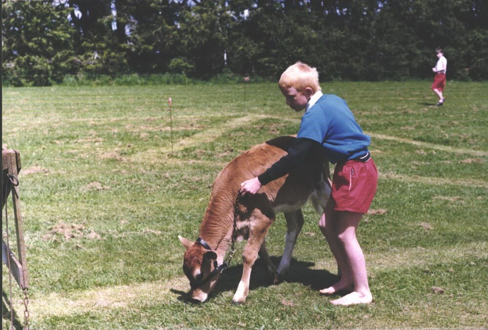 Stanley School - Calf Day - October 1986