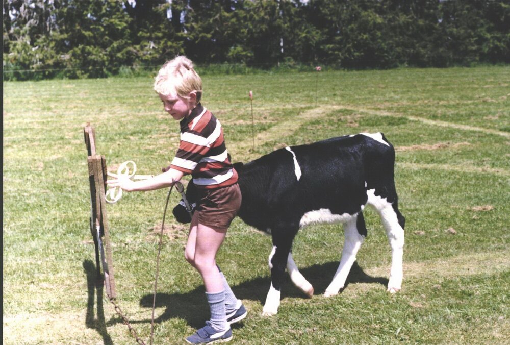 Stanley School - Calf Day - October 1986