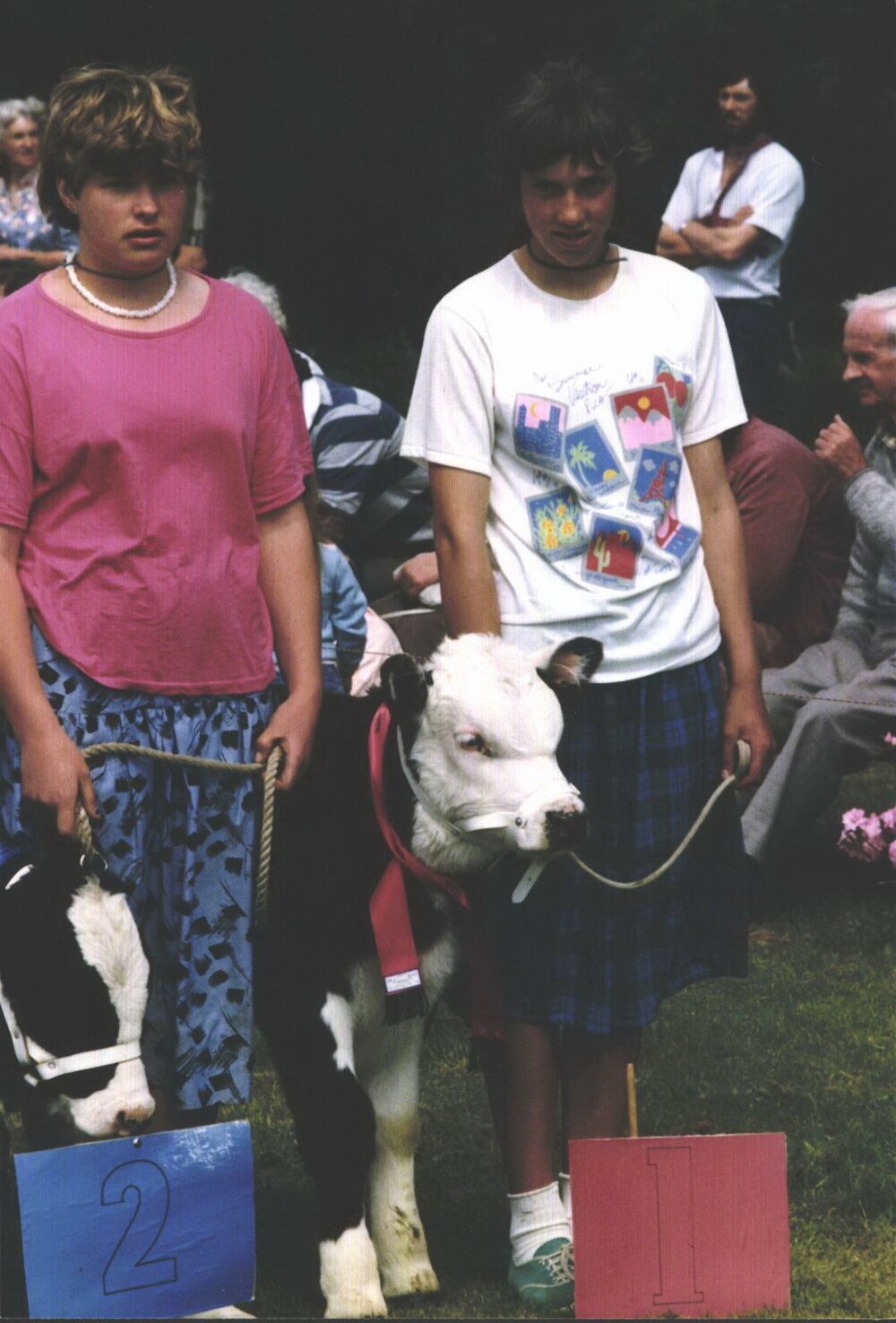 Stanley School - Calf Day - October 1986