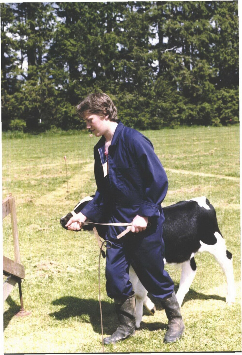 Stanley School - Calf Day - October 1986