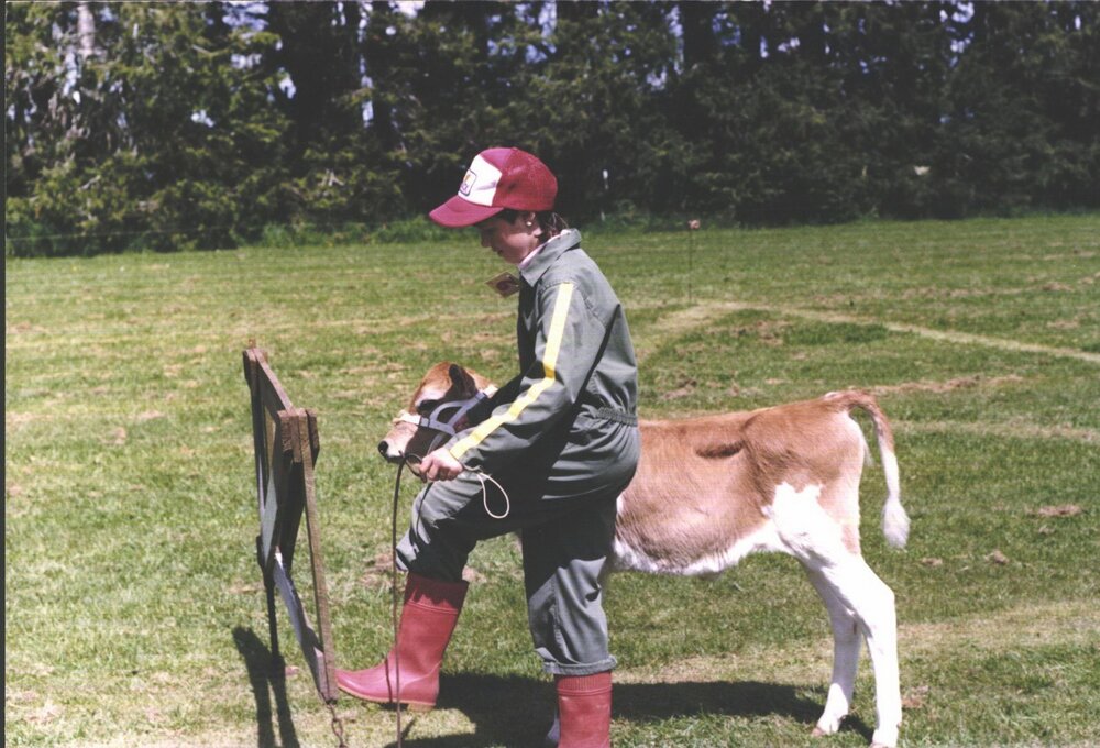 Stanley School - Calf Day - October 1986